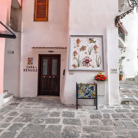 Casa Hermes